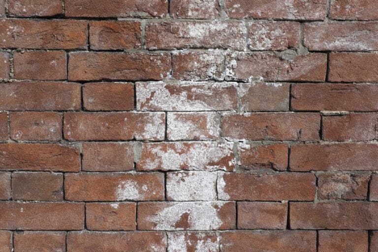 Water & Efflorescence Removal